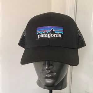 Patagonia P-6 logo Trucker Hat